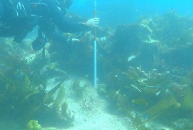 Un plongeur prend des mesures sur un site archéologique sous marin